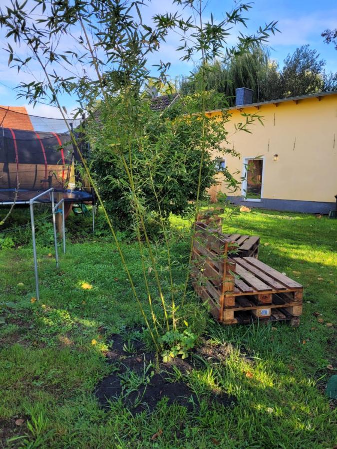 Haus Evelynchen Apartment 1 Deutschhof Fehrbellin 外观 照片